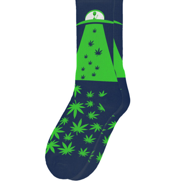 Sillies Alien Harvest socks